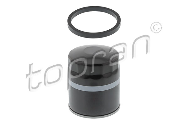 Alyvos filtras TOPRAN 300 029
