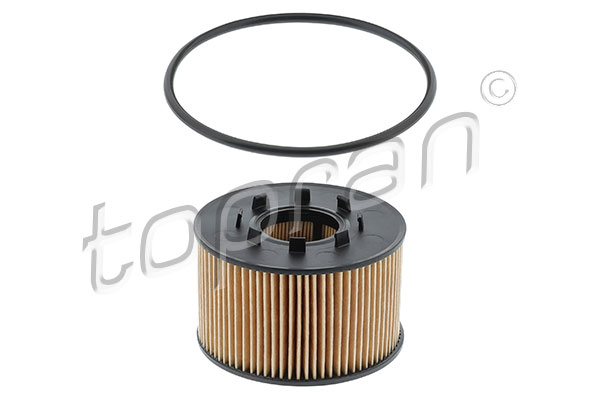 Alyvos filtras TOPRAN 301 760