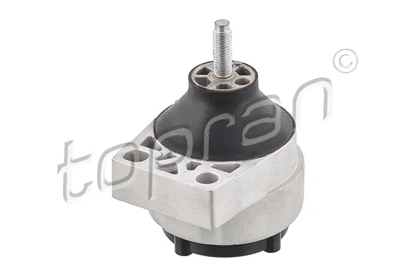 Variklio montavimas TOPRAN 301 815