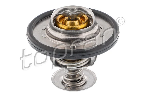 Termostatas TOPRAN 302 141