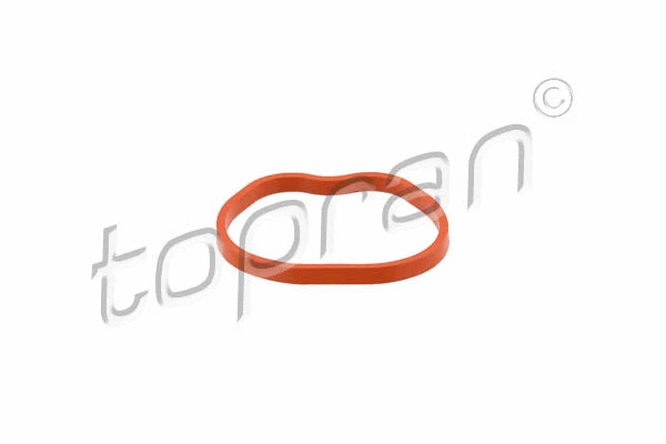 Įsiurbimo kolektoriaus tarpinė TOPRAN 302 263