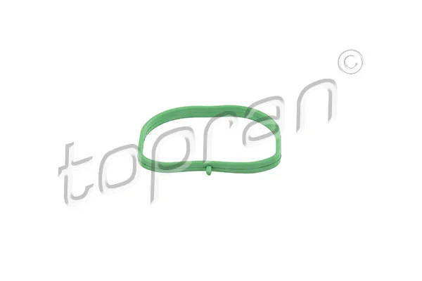 Įsiurbimo kolektoriaus tarpinė TOPRAN 302 264