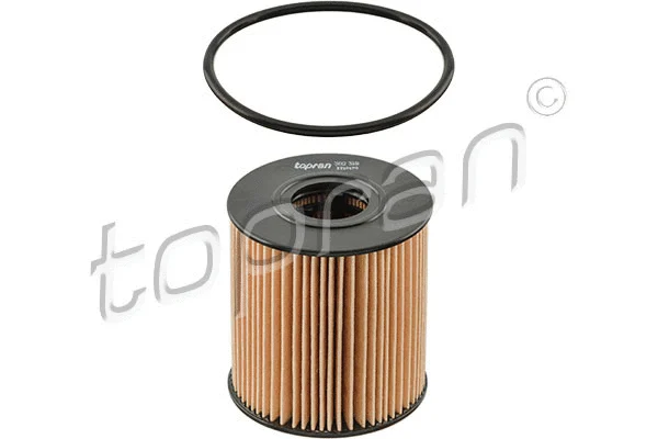 Alyvos filtras TOPRAN 302 318