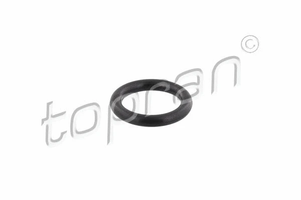 Įsiurbimo kolektoriaus tarpinė TOPRAN 304 041