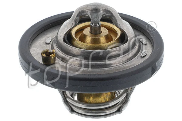 Termostatas TOPRAN 304 171