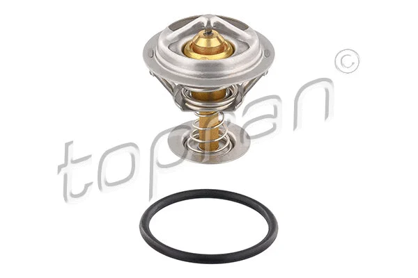 Termostatas TOPRAN 304 519