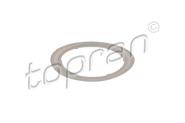 EGR vožtuvo tarpinė TOPRAN 305 143