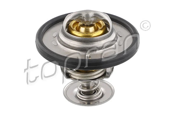 Termostatas TOPRAN 305 170