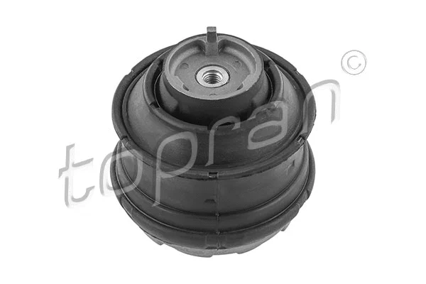Variklio montavimas TOPRAN 401 259