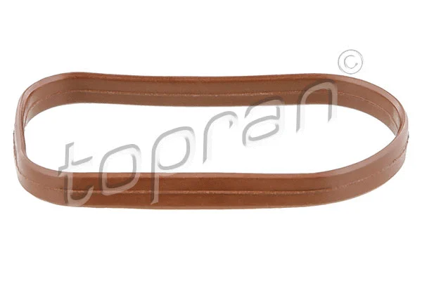 Įsiurbimo kolektoriaus tarpinė TOPRAN 408 439