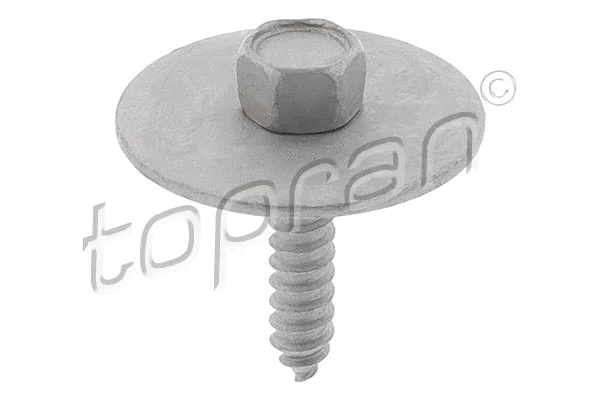 Varžtas TOPRAN 410 286
