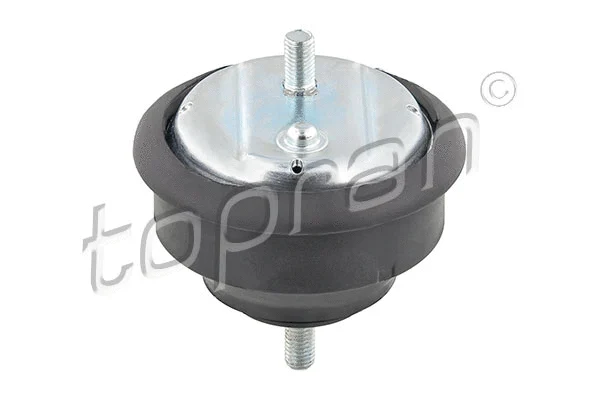 Variklio montavimas TOPRAN 500 004
