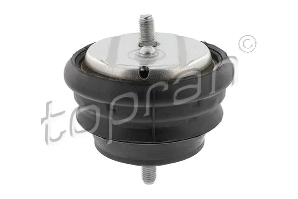 Variklio montavimas TOPRAN 500 005