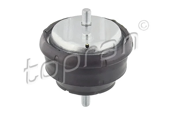 Variklio montavimas TOPRAN 500 272