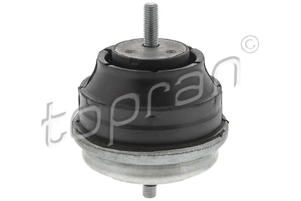 Variklio montavimas TOPRAN 500 276