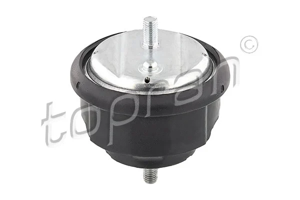 Variklio montavimas TOPRAN 500 277