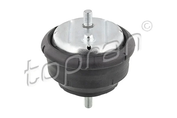 Variklio montavimas TOPRAN 500 279