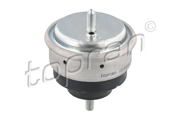 Variklio montavimas TOPRAN 500 752