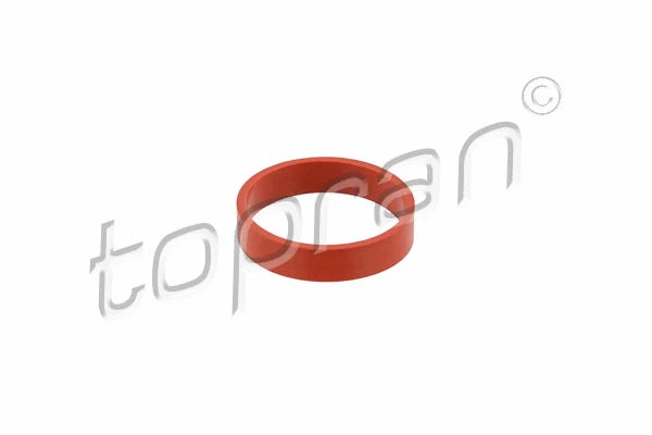 Įsiurbimo kolektoriaus tarpinė TOPRAN 501 271
