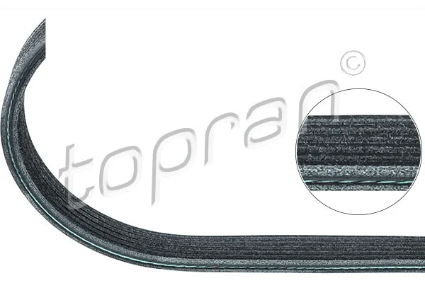 Dirželis TOPRAN 501 683