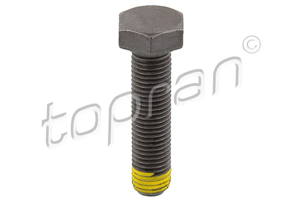 Smagračio varžtas TOPRAN 502 756