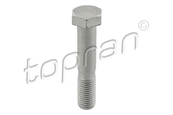 Varžtas TOPRAN 503 386