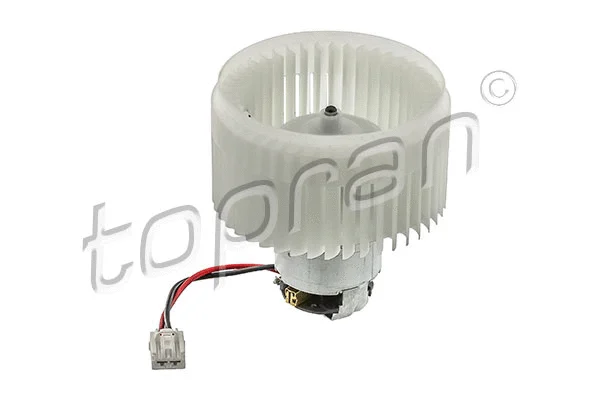 Vidaus putiklis TOPRAN 600 218