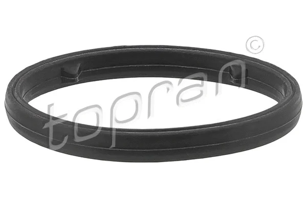 Alyvos filtro korpuso tarpinė TOPRAN 628 118