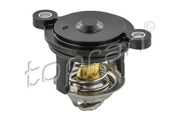 Termostatas TOPRAN 630 313
