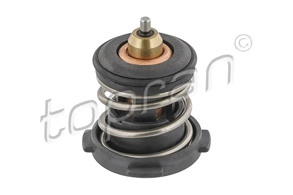 Termostatas TOPRAN 638 754