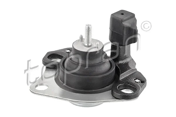 Variklio montavimas TOPRAN 700 327