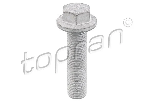 Skriemulio varžtas TOPRAN 701 617