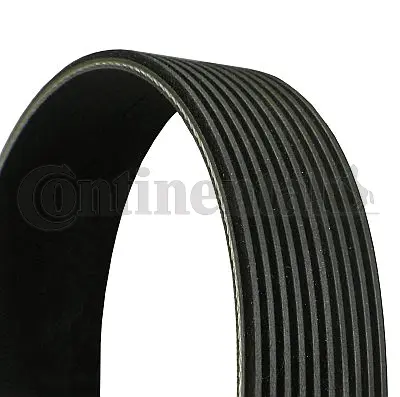Dirželis CONTINENTAL CTAM 10PK2475