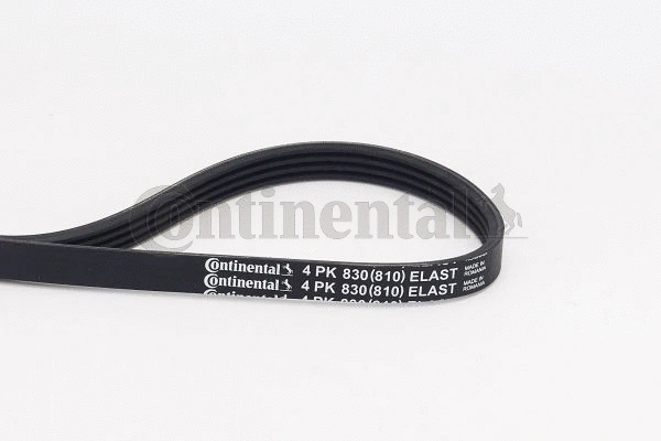 Dirželis CONTINENTAL CTAM 4PK830 ELAST
