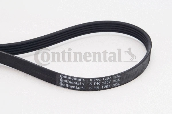 Dirželis CONTINENTAL CTAM 5PK1207