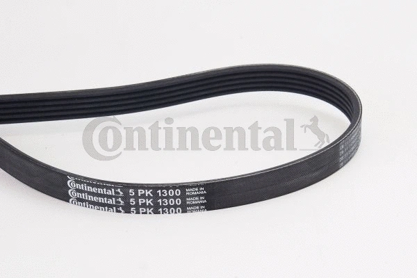 Dirželis CONTINENTAL CTAM 5PK1300