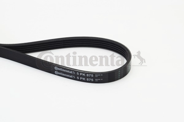 Dirželis CONTINENTAL CTAM 5PK875