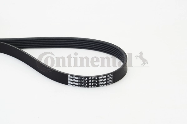 Dirželis CONTINENTAL CTAM 6PK1050