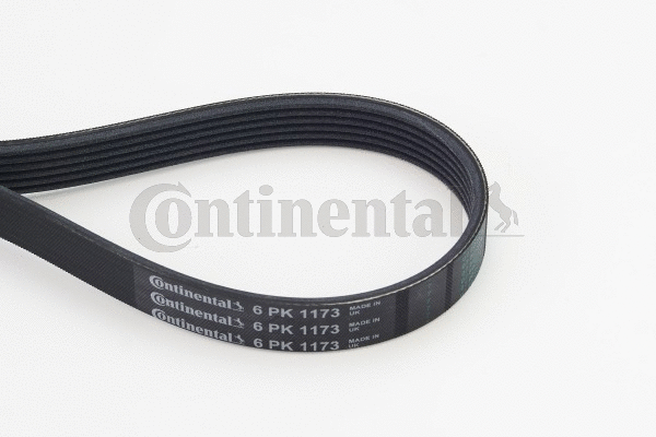 Dirželis CONTINENTAL CTAM 6PK1173