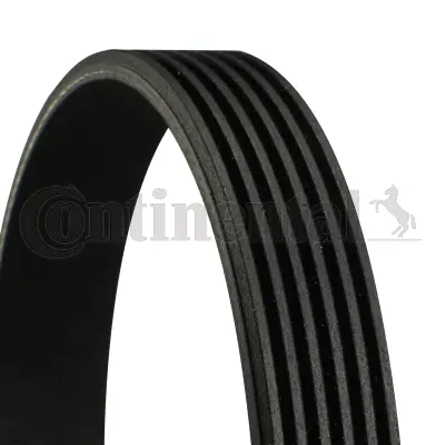 Dirželis CONTINENTAL CTAM 6PK1510