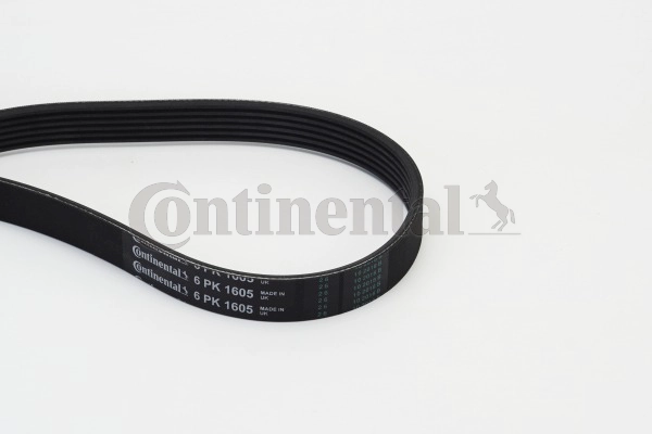 Dirželis CONTINENTAL CTAM 6PK1605