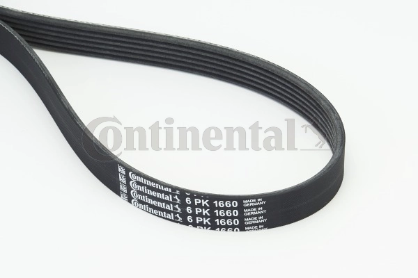 Dirželis CONTINENTAL CTAM 6PK1660