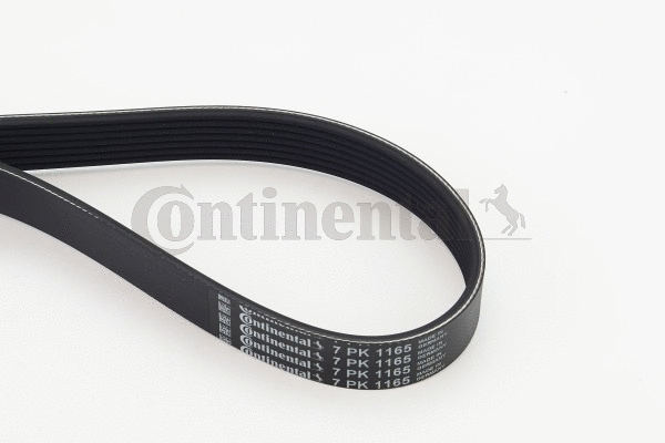 Dirželis CONTINENTAL CTAM 7PK1165