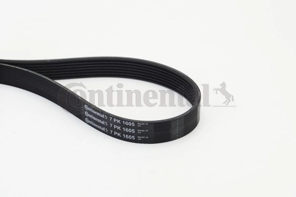 Dirželis CONTINENTAL CTAM 7PK1605