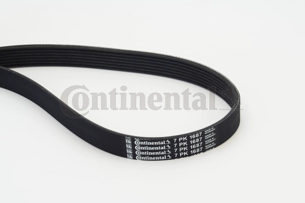 Dirželis CONTINENTAL CTAM 7PK1687