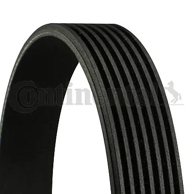 Dirželis CONTINENTAL CTAM 7PK2337