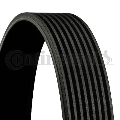 Dirželis CONTINENTAL CTAM 8PK1550