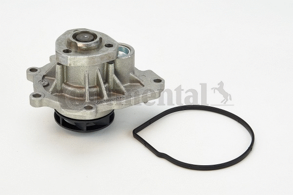 Variklio aušinimo Vandens siurblys CONTINENTAL CTAM WP6071