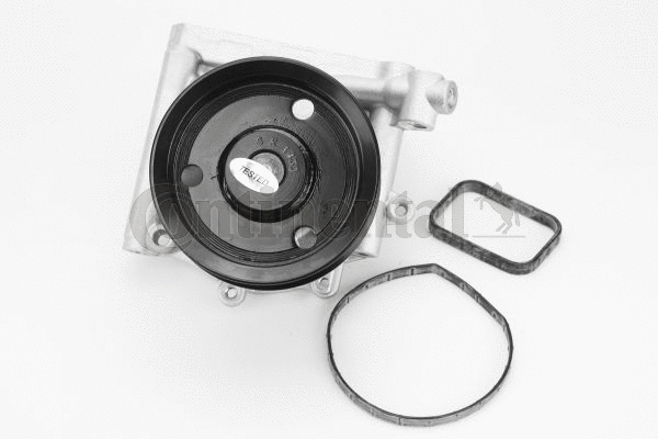 Variklio aušinimo Vandens siurblys CONTINENTAL CTAM WPS3186