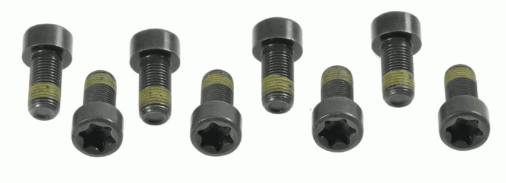 Smagračio varžtų komplektas SACHS 1874 000 006